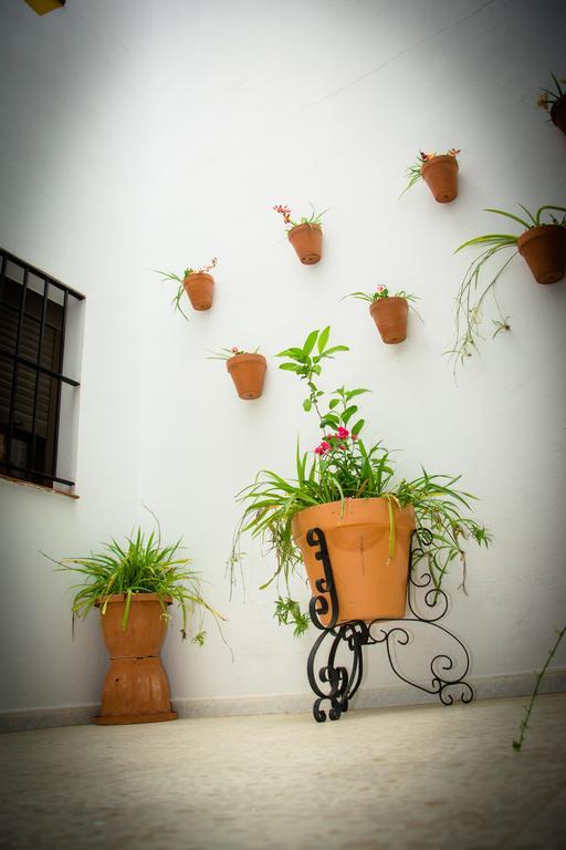 Hostal Malia Conil De La Frontera Exterior photo